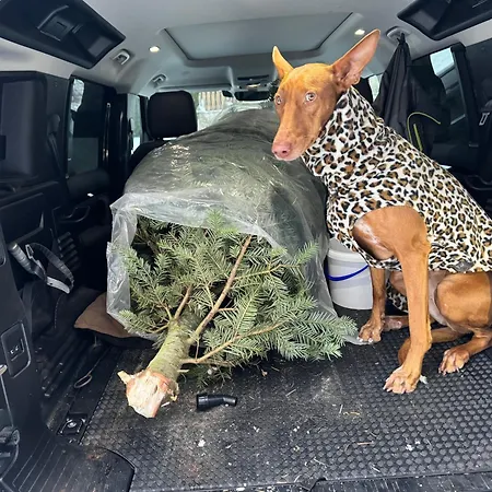 Hundefreundliche Im Muehlviertel In Oberoesterreich * Freundorf