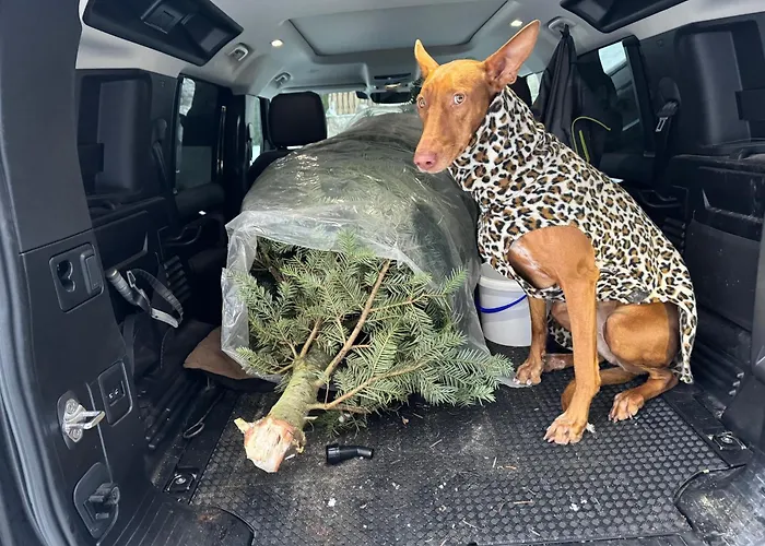 Am Hochficht Muehlviertel In Oberoesterreich * Freundorf